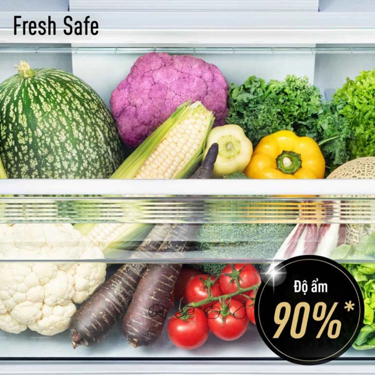 Bảo quản thực phẩm tươi ngon với mức độ ẩm ổn định 90%