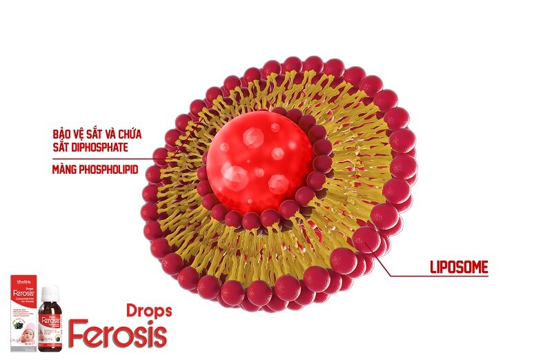 Chọn sắt chuẩn cho con: Tìm hiểu Ferosis và công nghệ Liposome đột phá!