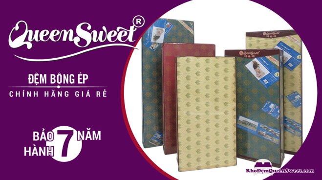 Đệm bông ép Queensweet bền bỉ 