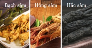 Bạch sâm, Hồng sâm và Hắc sâm loại nào tốt hơn?
