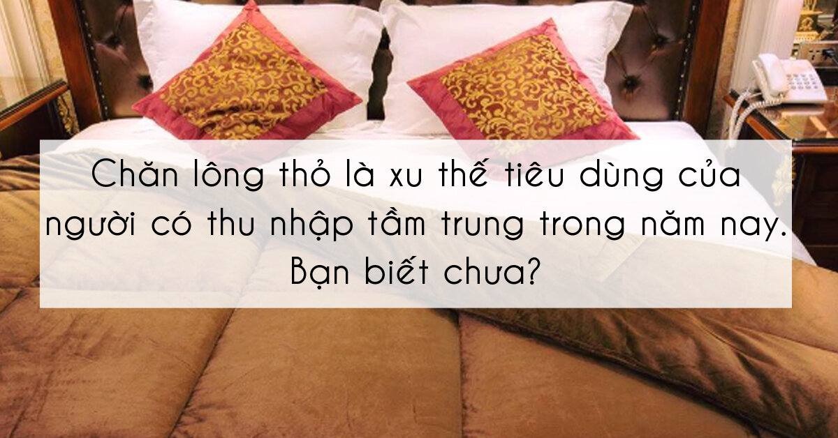 Bảng giá chăn lông thỏ mới nhất bạn đã biết chưa?