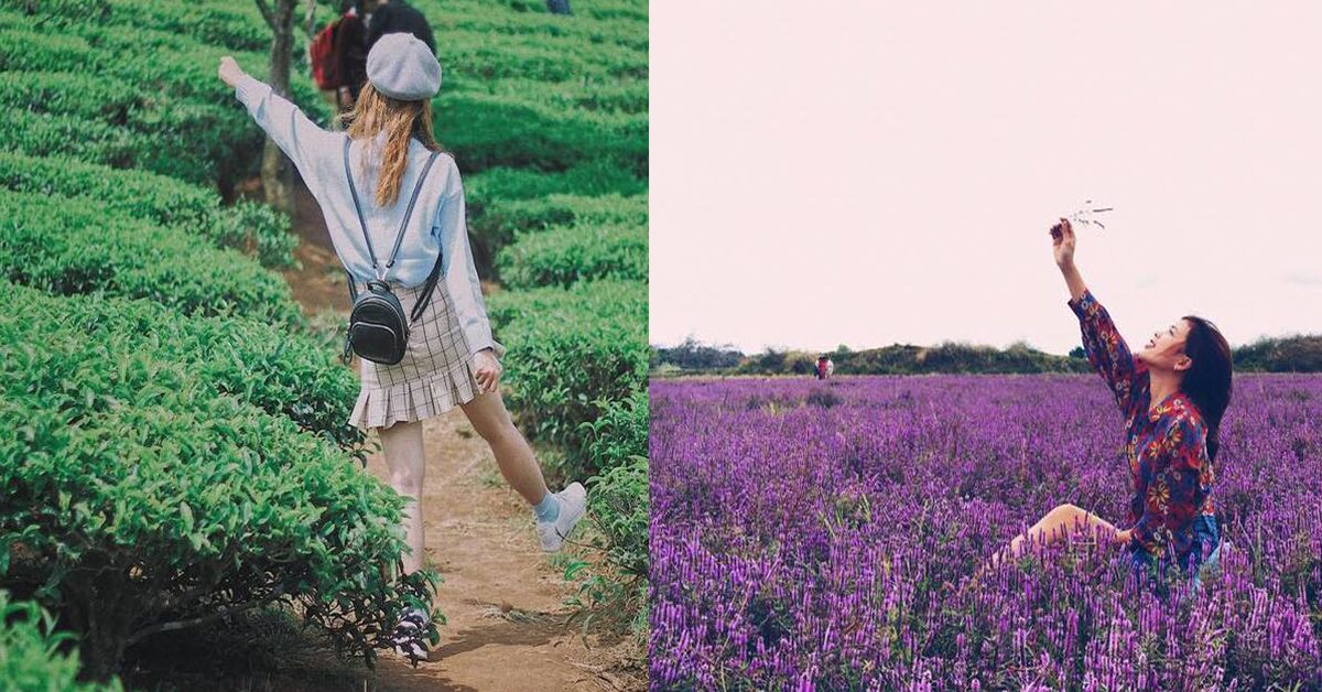 Wss.ViewModel.ArticleListViewModel