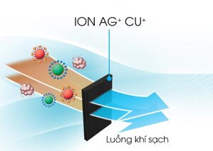 Bảo quản rau củ tươi ngon hơn với công nghệ khử mùi kháng khuẩn hiện đại trên tủ lạnh Sharp