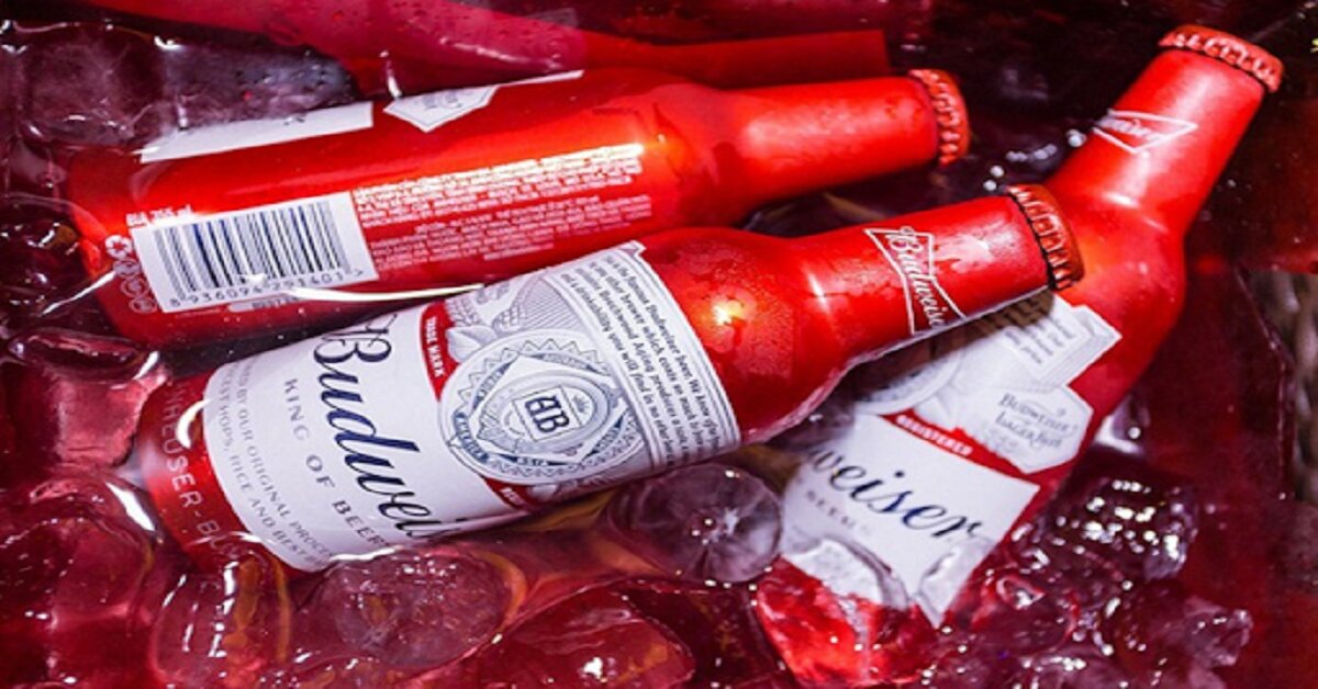 Bật mí bao bì bia Budweiser Tết 2023 và giá cả các loại chi tiết