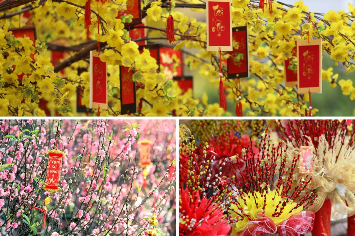 Bật mí các cách trang trí hoa ngày Tết đẹp và mang đến tài lộc cho gia chủ