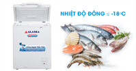 Bật mí ưu điểm, cách sử dụng, bảo quản tủ đông Alaska 100L BD 150