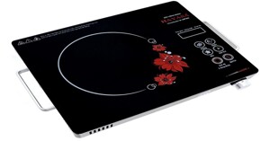 Bếp hồng ngoại Hayasa và các sản phẩm hot nhất hiện nay