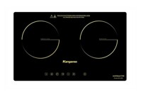 Bếp từ đôi giá rẻ nhất thị trường - Bếp từ đôi chỉ từ 2 triệu đồng có loại nào tốt ?