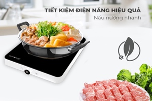 Bếp từ Eurosun EU-T197 thiết kế tinh tế, công nghệ hiện đại