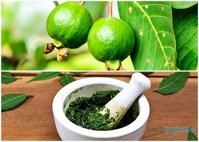 Bí quyết trị mụn đẹp da từ nguyên liệu có sẵn trong vườn