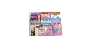 Bộ sách giáo khoa và bài tập môn toán lớp 8 năm học 2018-2019 giá bao nhiêu tiền?