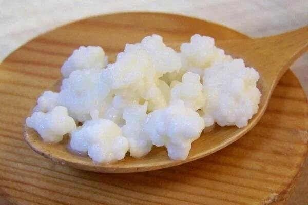 Công dụng của sữa chua Kefir và cách làm sữa chua Kefir tại nhà