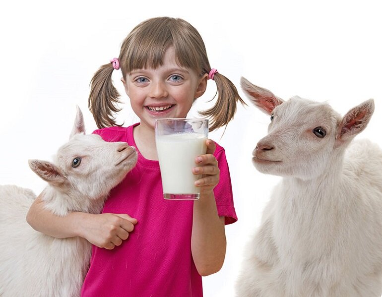 Review sữa dê Dg có tốt không, có mấy số, giá bao nhiêu, bán ở đâu?