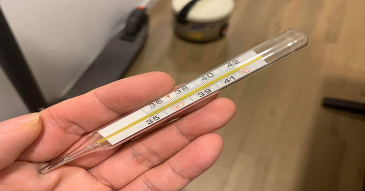 Các loại nhiệt kế đo nhiệt độ cho gia đình bạn