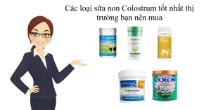 Các loại sữa non Colostrum tốt nhất thị trường bạn nên mua