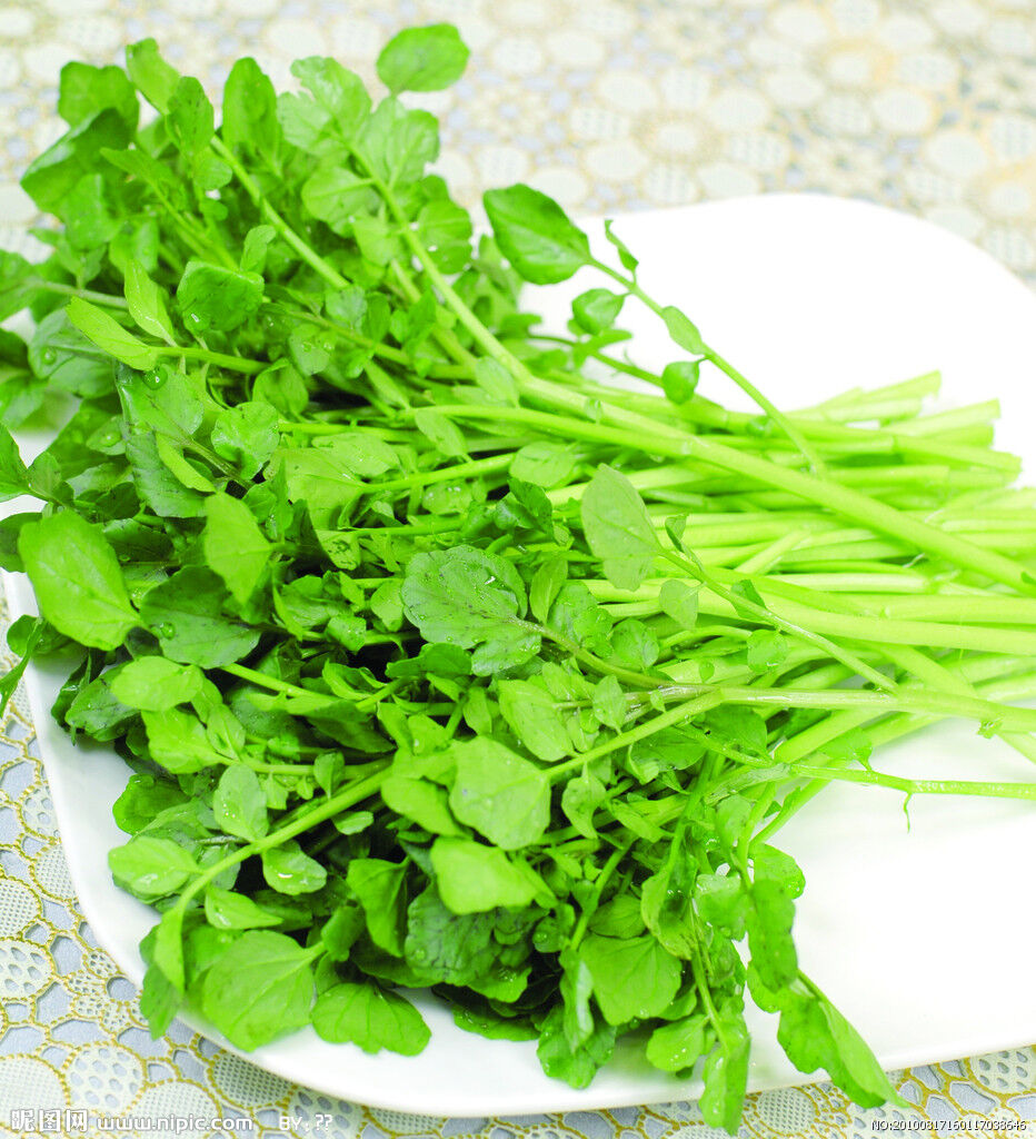 Các loại thực phẩm giàu canxi nhất giúp bạn cao hơn, khỏe mạnh hơn