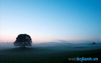 Các mẹo hữu ích giúp bạn chụp ảnh trong thời tiết sương mù
