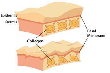 Các tác dụng phụ của Collagen