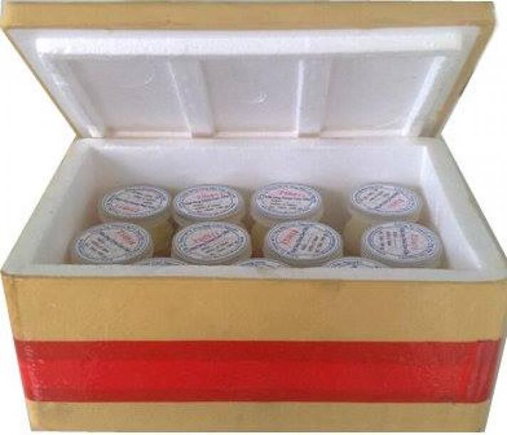 Cách bảo quản sữa ong chúa khi không có tủ lạnh