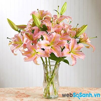 Cách cắm hoa ly đẹp trong ngày Tết