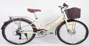 Cách kiểm tra và bảo dưỡng xe đạp Brave Will sau mỗi chuyến đi