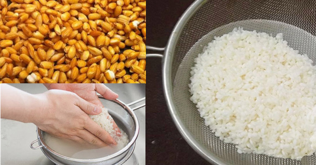 Cách làm nước gạo rang Hàn Quốc thơm ngon cực dễ ai cũng làm được