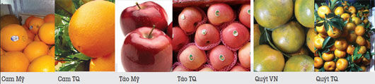 Cách nhận biết hoa quả Việt Nam và Trung Quốc