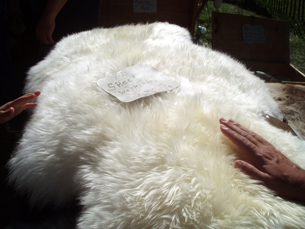 Áo khoác da cừu lông cừu cao cấp NNA - Baza.vn