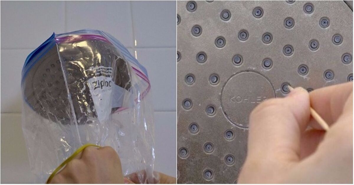 Cách vệ sinh vòi sen an toàn bằng nguyên liệu dễ kiếm tại nhà