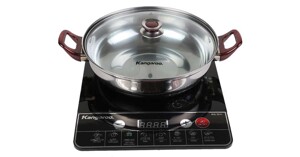 Cần cân nhắc gì khi mua bếp từ đơn Kangaroo KG351I giá 700.000 đồng?