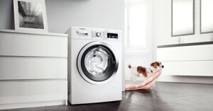 Cân nhắc gì khi chọn máy giặt Bosch WAX32E91?