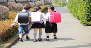 Cặp sách học sinh tiểu học có những loại nào ?