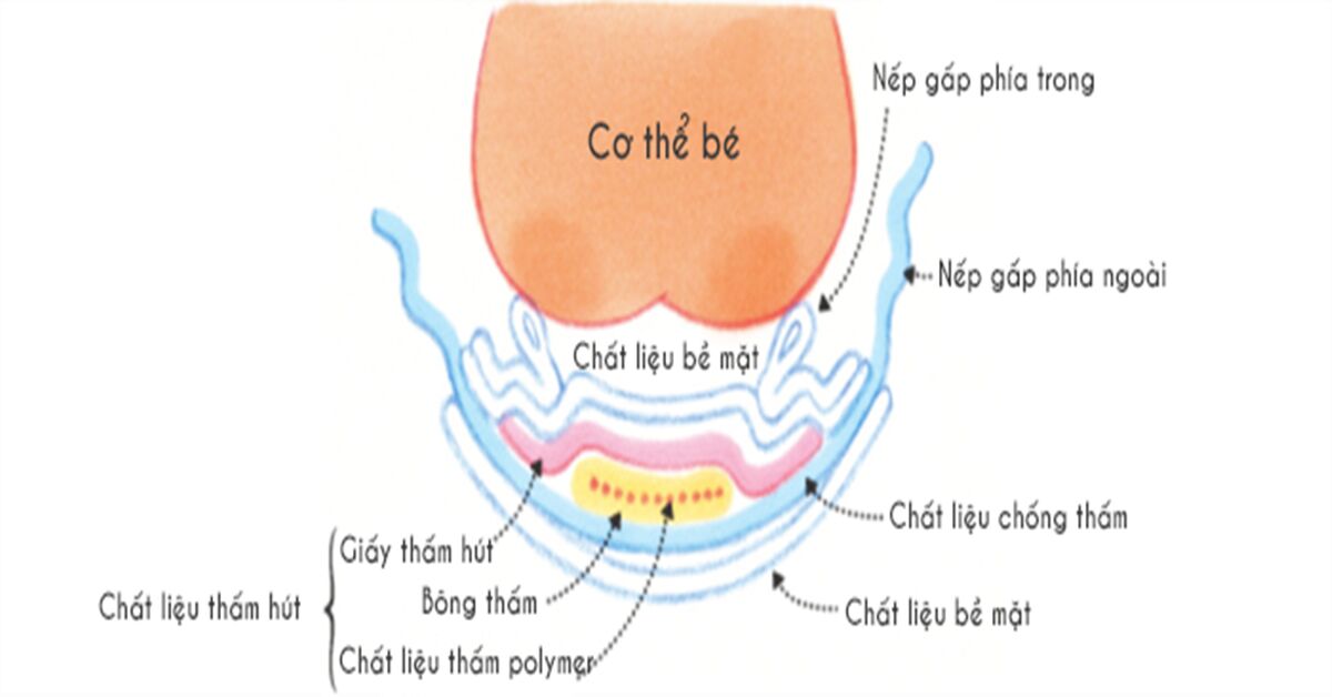 Cấu tạo của một chiếc tã giấy gồm có những thành phần gì ?