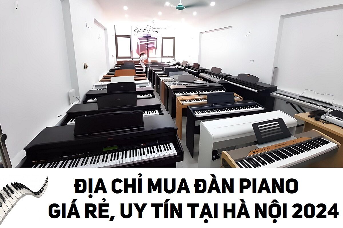Cell Piano - Cửa hàng Piano cũ mới uy tín giá tốt 2024 tại Hà Nội