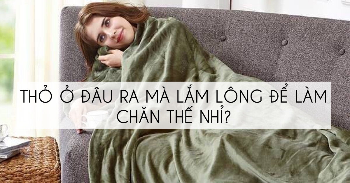 Chăn lông thỏ là gì ? Chăn lông thỏ có mấy loại ? Nơi bán chăn lông thỏ rẻ nhất ?