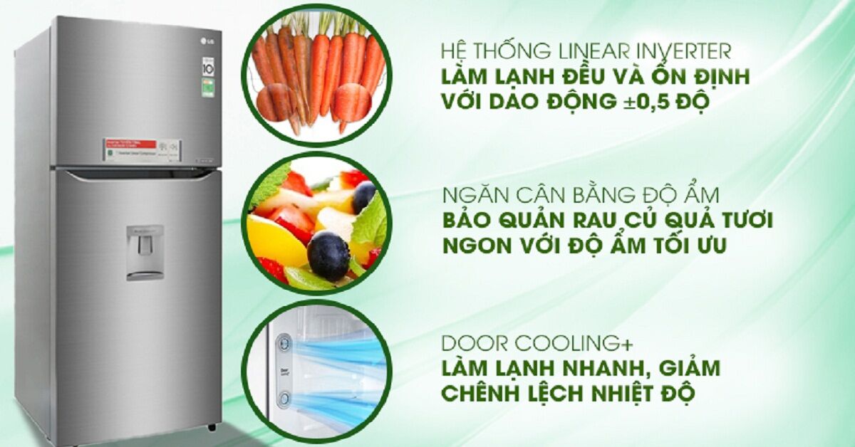 Chất lượng tủ lạnh LG 315 lít GN-M315PS có tốt không? Giá bao nhiêu?