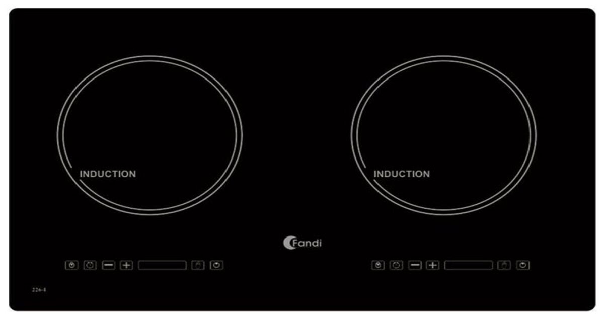 Chọn mua bếp từ đôi loại tốt cho gia đình bạn