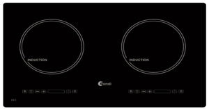 Chọn mua bếp từ đôi loại tốt cho gia đình bạn