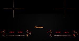Có nên mua bếp từ Kangaroo 2 vùng nấu KG859i giá 10 triệu đồng?