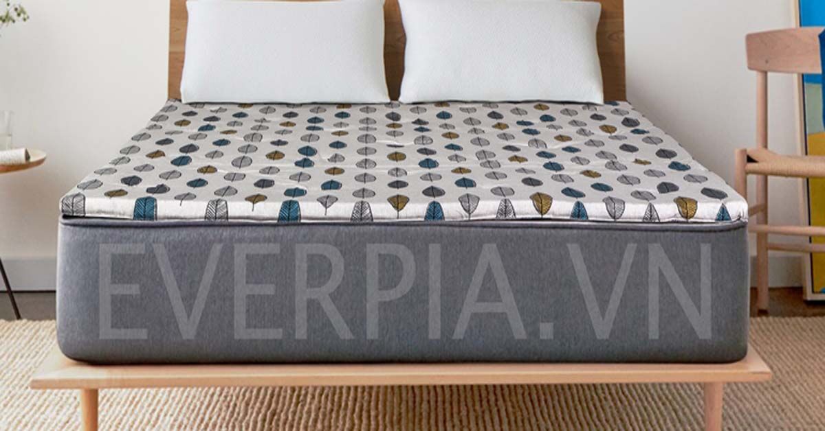 Có nên mua đệm bông ép giá rẻ Everon Lite không?