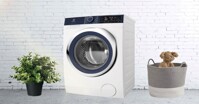 Có nên mua máy giặt Electrolux 10kg EWF1042BDWA với giá 11 triệu đồng không?