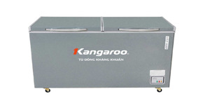 Có nên mua tủ đông Kangaroo KGFZ389NG2 cho gia đình kinh doanh nhỏ lẻ không?