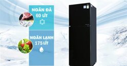 Có nên mua tủ lạnh AQUA AQR-I248EN - 249L Inverter cho căn bếp nhà bạn?