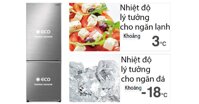 Có nên mua tủ lạnh Hitachi R-B330PGV8(BBK) - 275 lít cho gia đình hay không?