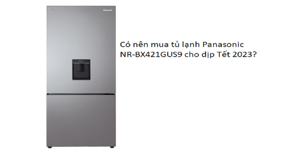 Có nên mua tủ lạnh Panasonic NR-BX421GUS9 cho dịp Tết 2023?