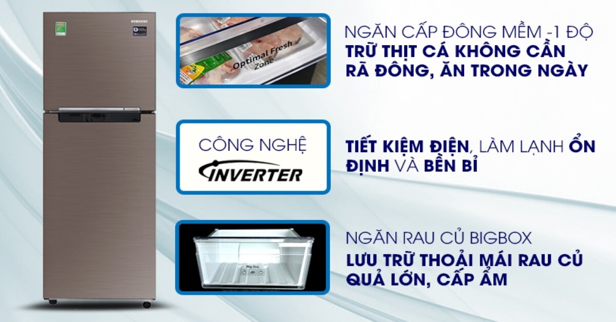 Có nên mua tủ lạnh Samsung Inverter 236 lít RT22M4032DX/SV cho căn bếp nhà bạn?