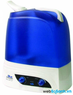 Có nên sử dụng máy phun sương tạo độ ẩm vào mùa hè?