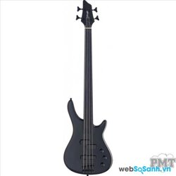 Có những loại đàn guitar nào? (phần 2)