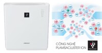 Công nghệ Plasmacluster ion trên máy lọc không khí có tác dụng gì ?