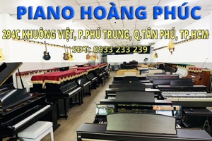 Công Ty Piano Hoàng Phúc đơn vị nhập khẩu Piano & Guitar Japan cao cấp tại Việt Nam
